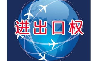 上海外贸公司如何办理进出口权资质申请与广告设计业务拓展