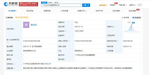 广告设计的艺术与策略 从概念到沟通的创意之旅